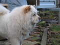 20031201_ 052